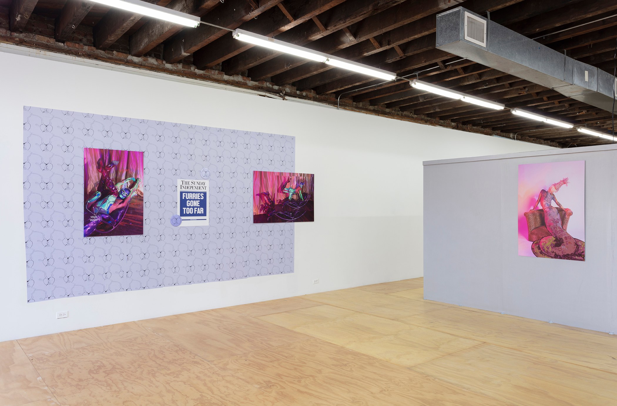 Juliana Huxtable, Interfertility Industrial Complex: Snatch The Calf Back at Reena Spaulings Fine Art, photo 12