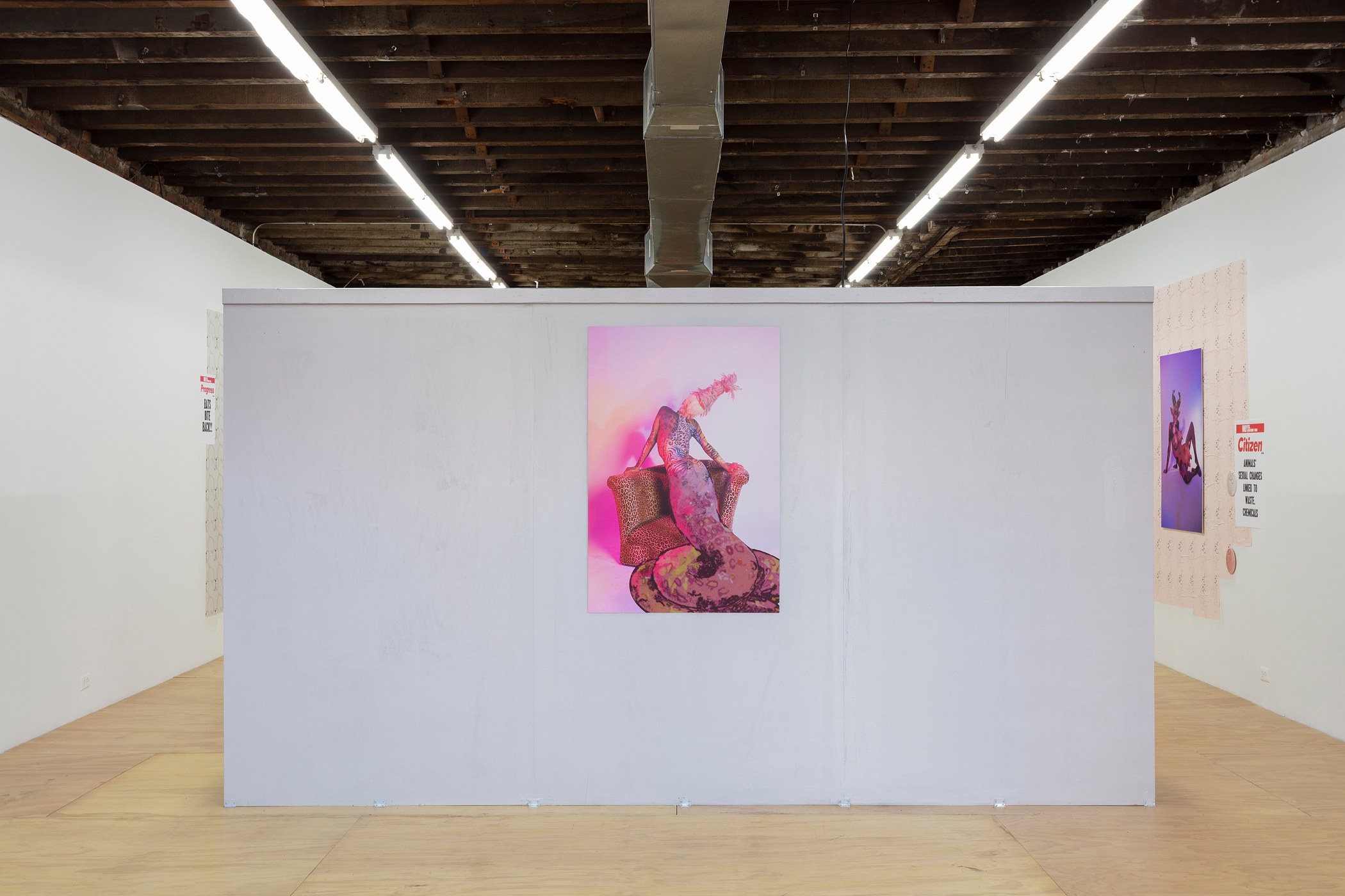 Juliana Huxtable, Interfertility Industrial Complex: Snatch The Calf Back at Reena Spaulings Fine Art, photo 13