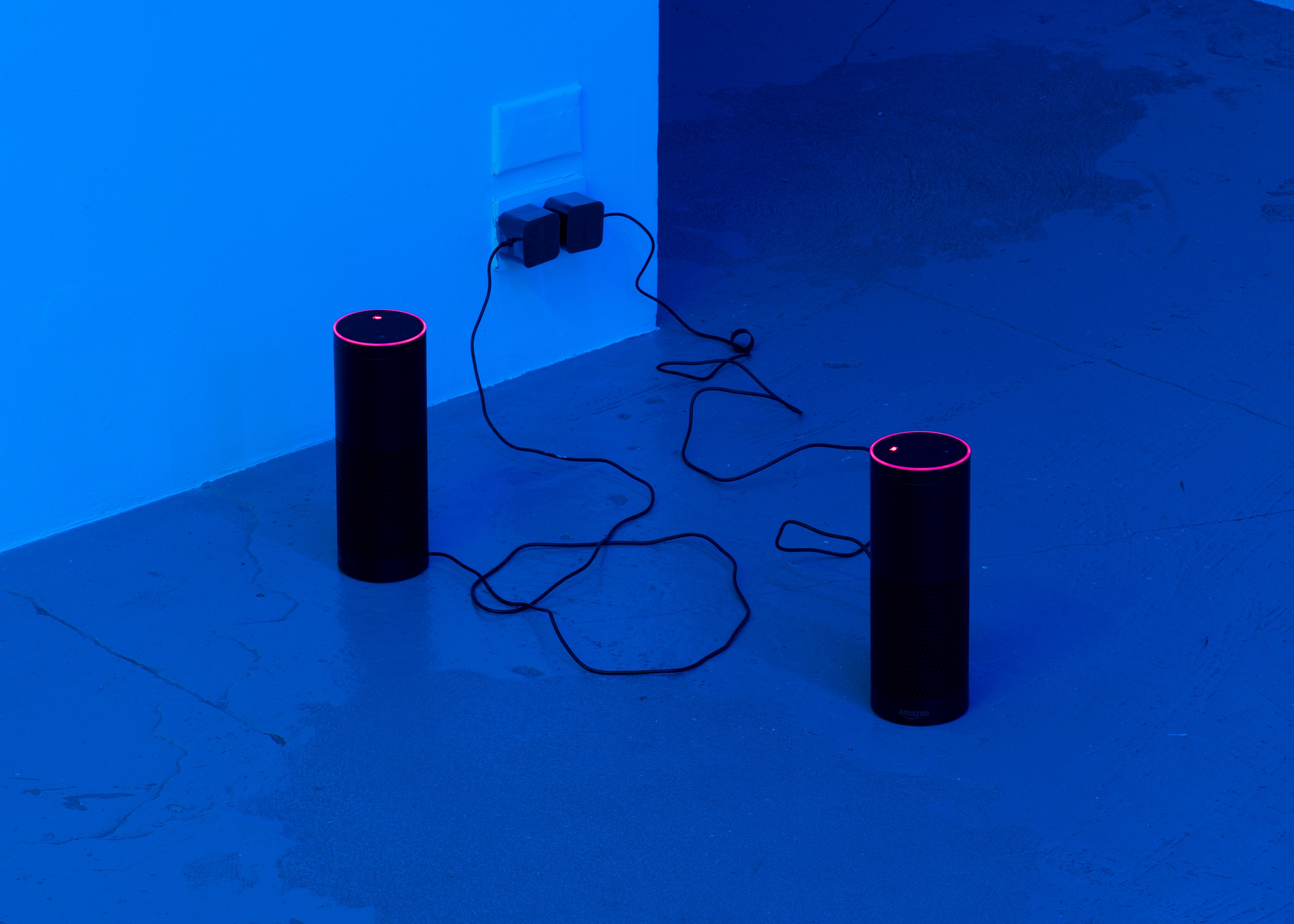 Pamela Rosenkranz, Anemine at Miguel Abreu, New York (88 Eldridge Street, 36 Orchard Street), photo 11