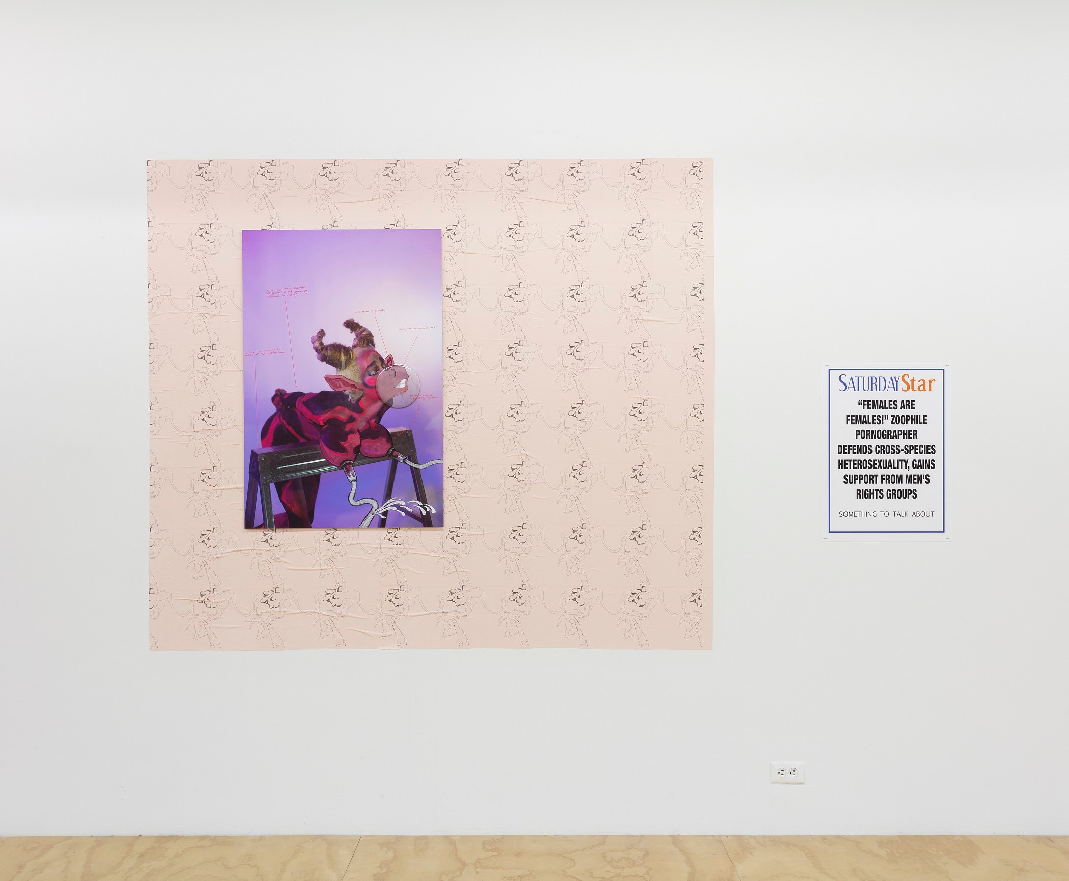 Juliana Huxtable, Interfertility Industrial Complex: Snatch The Calf Back at Reena Spaulings Fine Art, photo 19