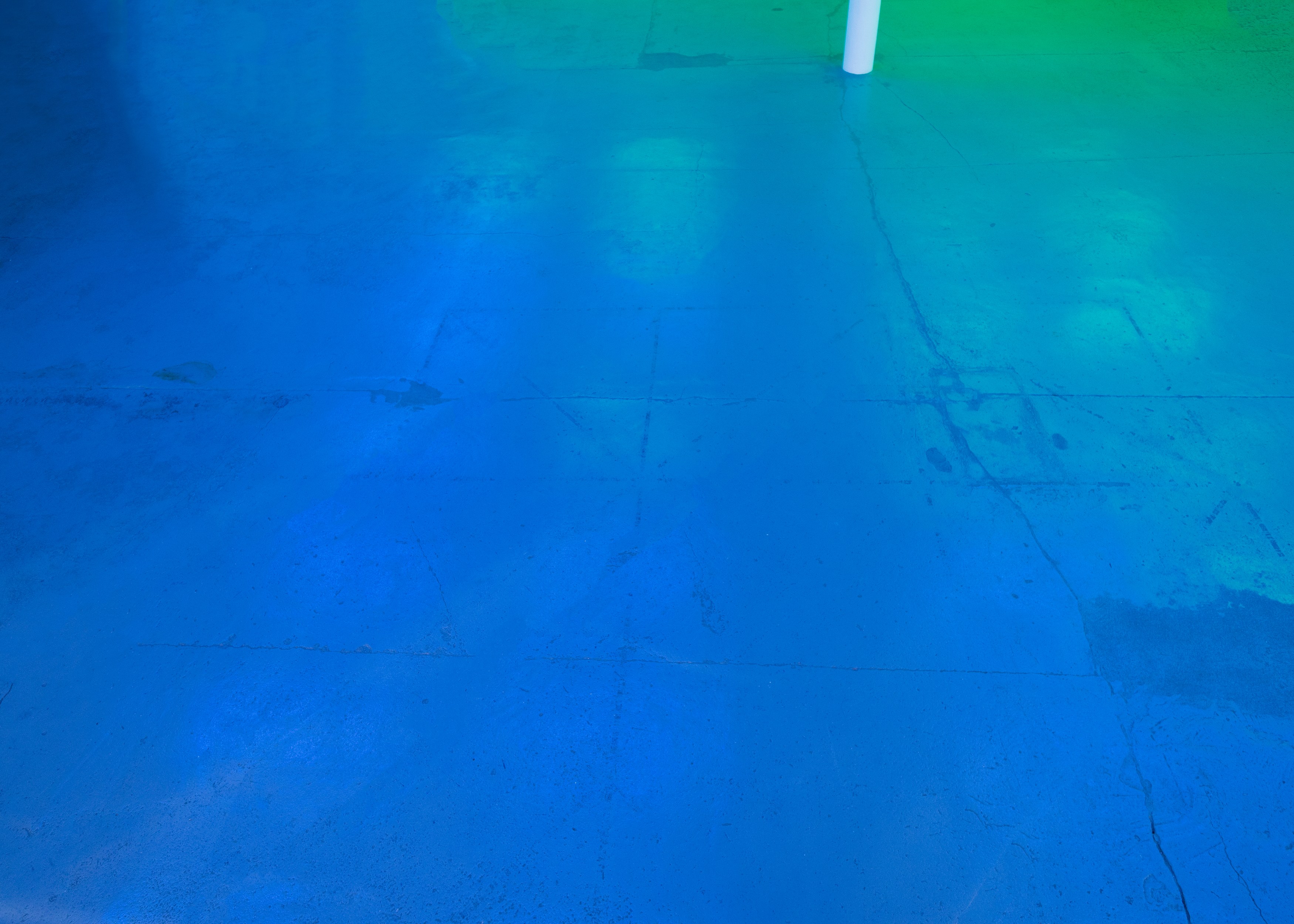 Pamela Rosenkranz, Anemine at Miguel Abreu, New York (88 Eldridge Street, 36 Orchard Street), photo 14
