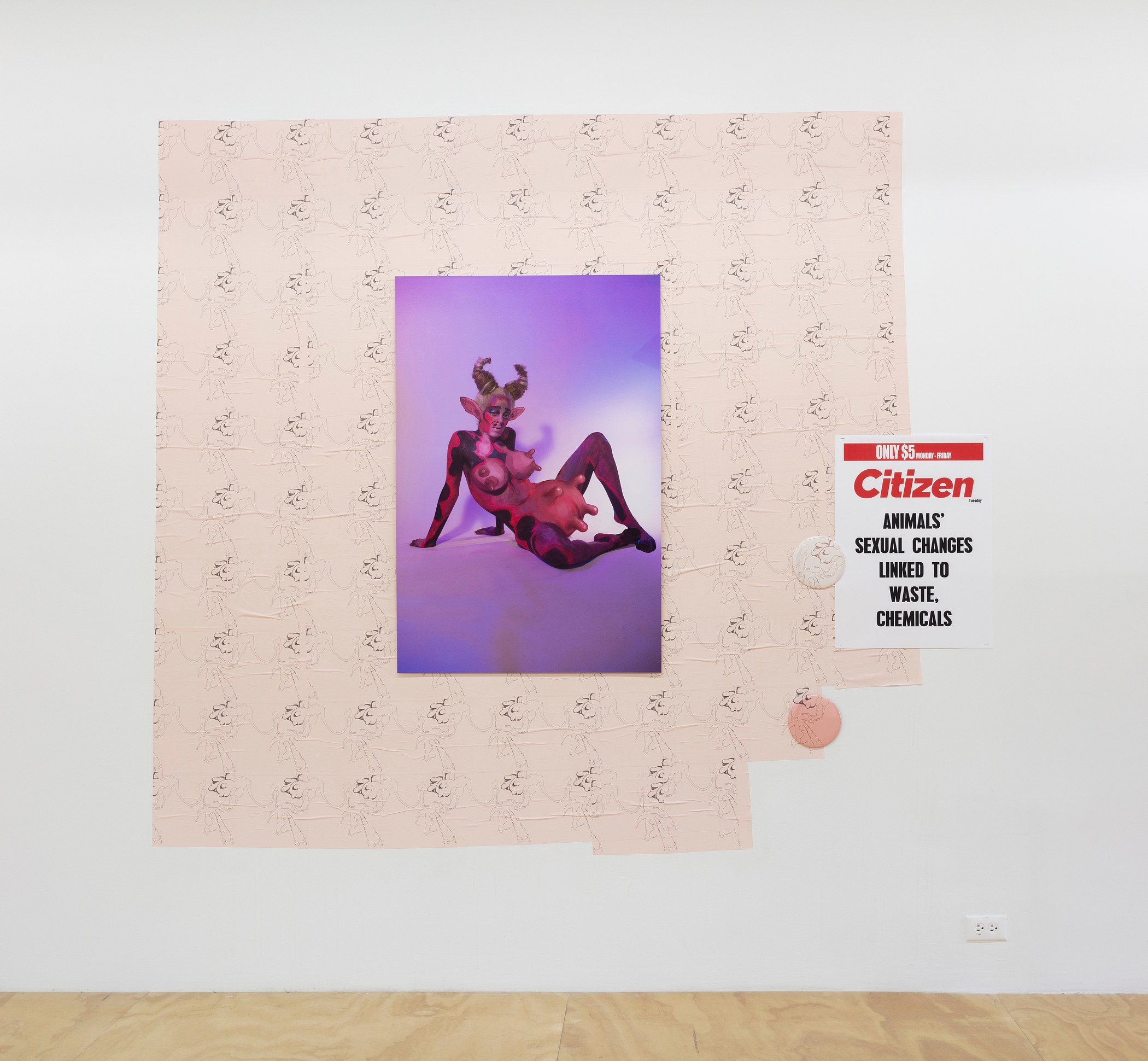 Juliana Huxtable, Interfertility Industrial Complex: Snatch The Calf Back at Reena Spaulings Fine Art, photo 21