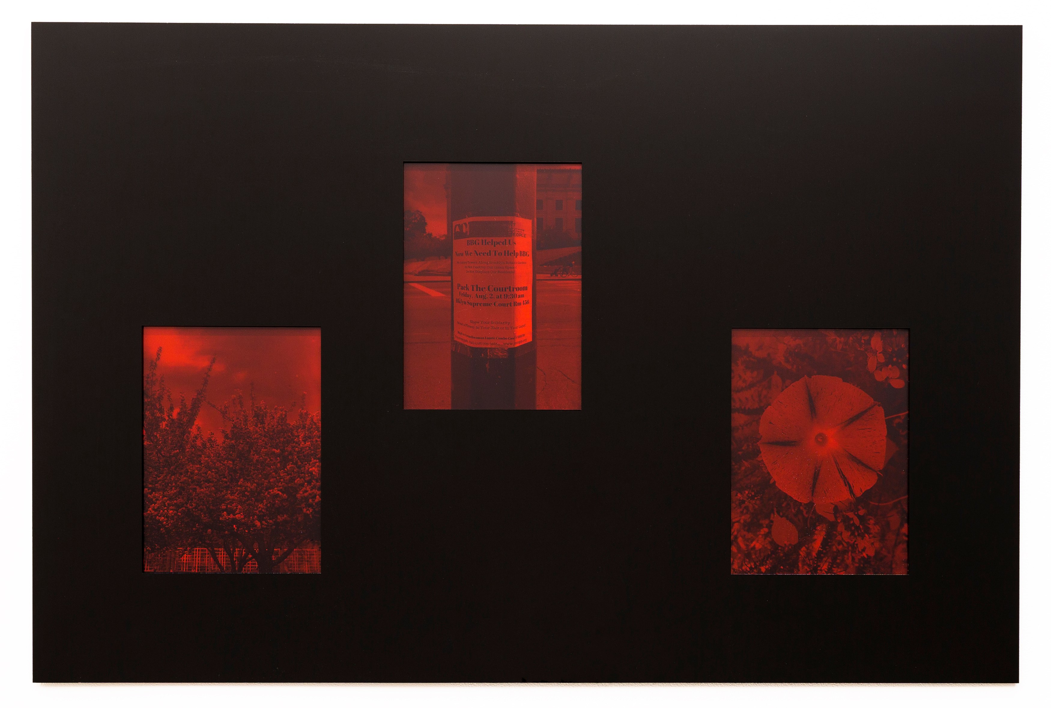 The Comedies of the Status Quo, The Comedies of the Status Quo at Kate Werble, photo 10