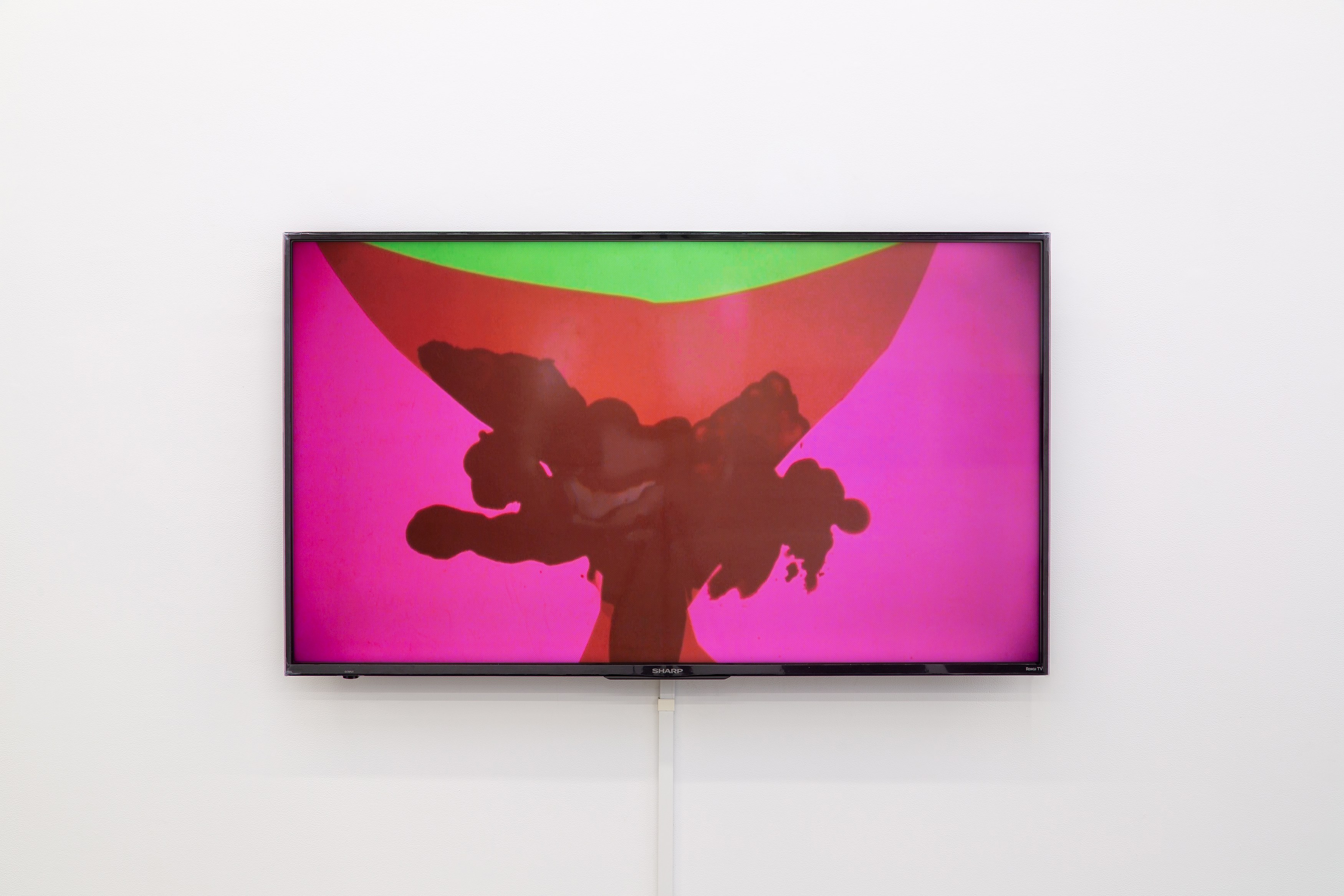 The Comedies of the Status Quo, The Comedies of the Status Quo at Kate Werble, photo 12