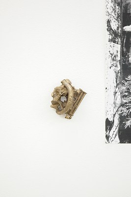 Image 33 of 48