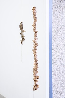 Image 74 of 135