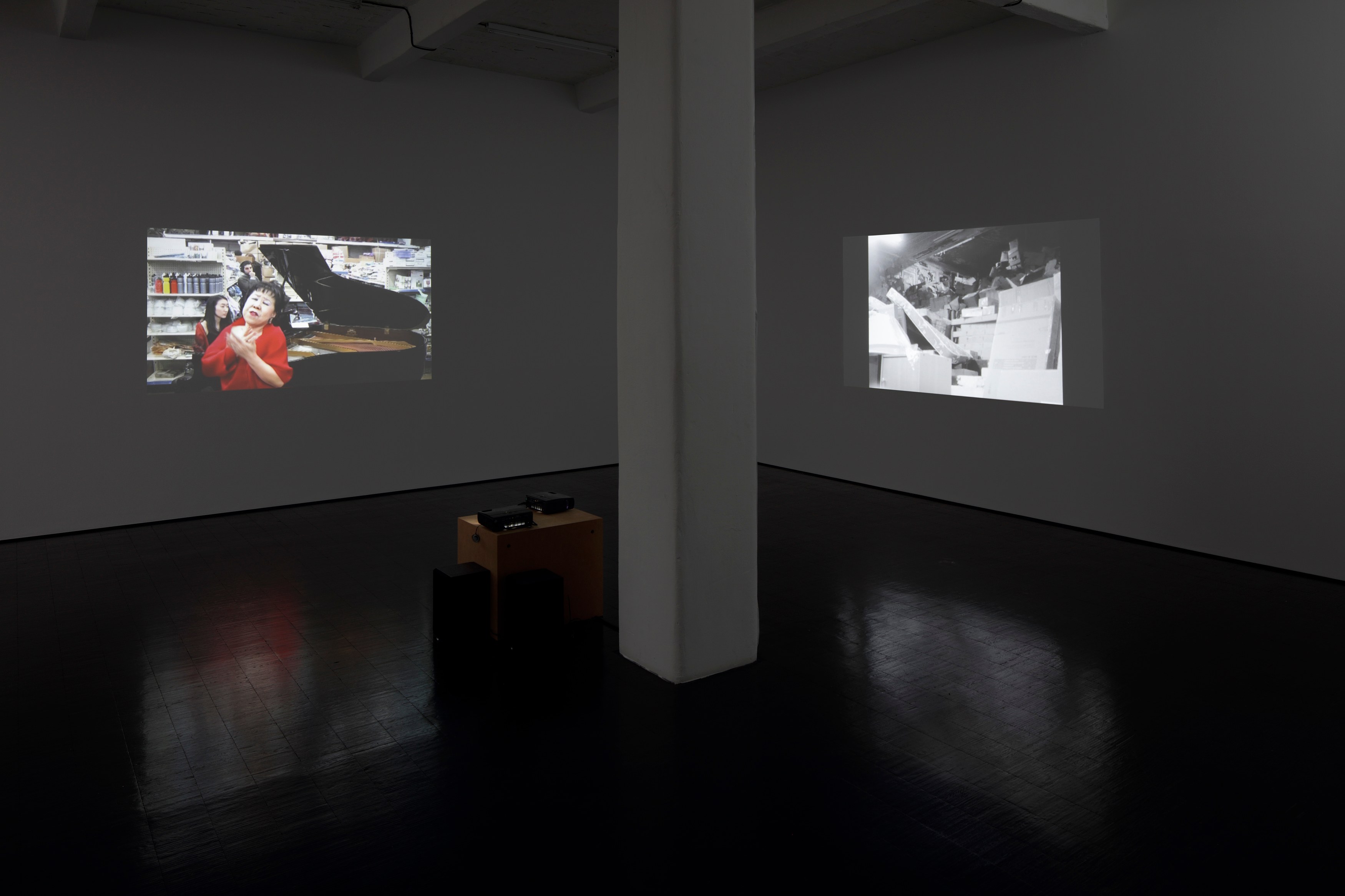 Rainer Ganahl, Haunted Houses at Trautwein Herleth, photo 2