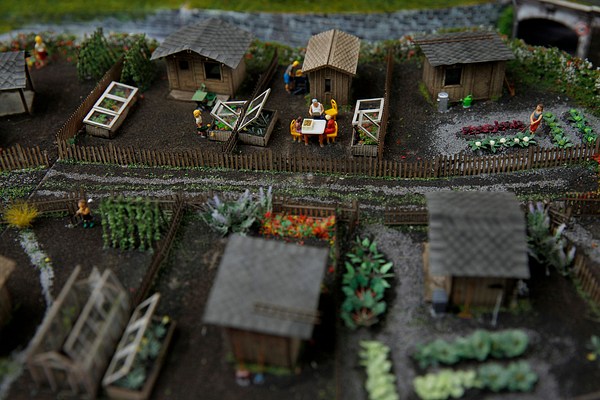 Image 9 of 12