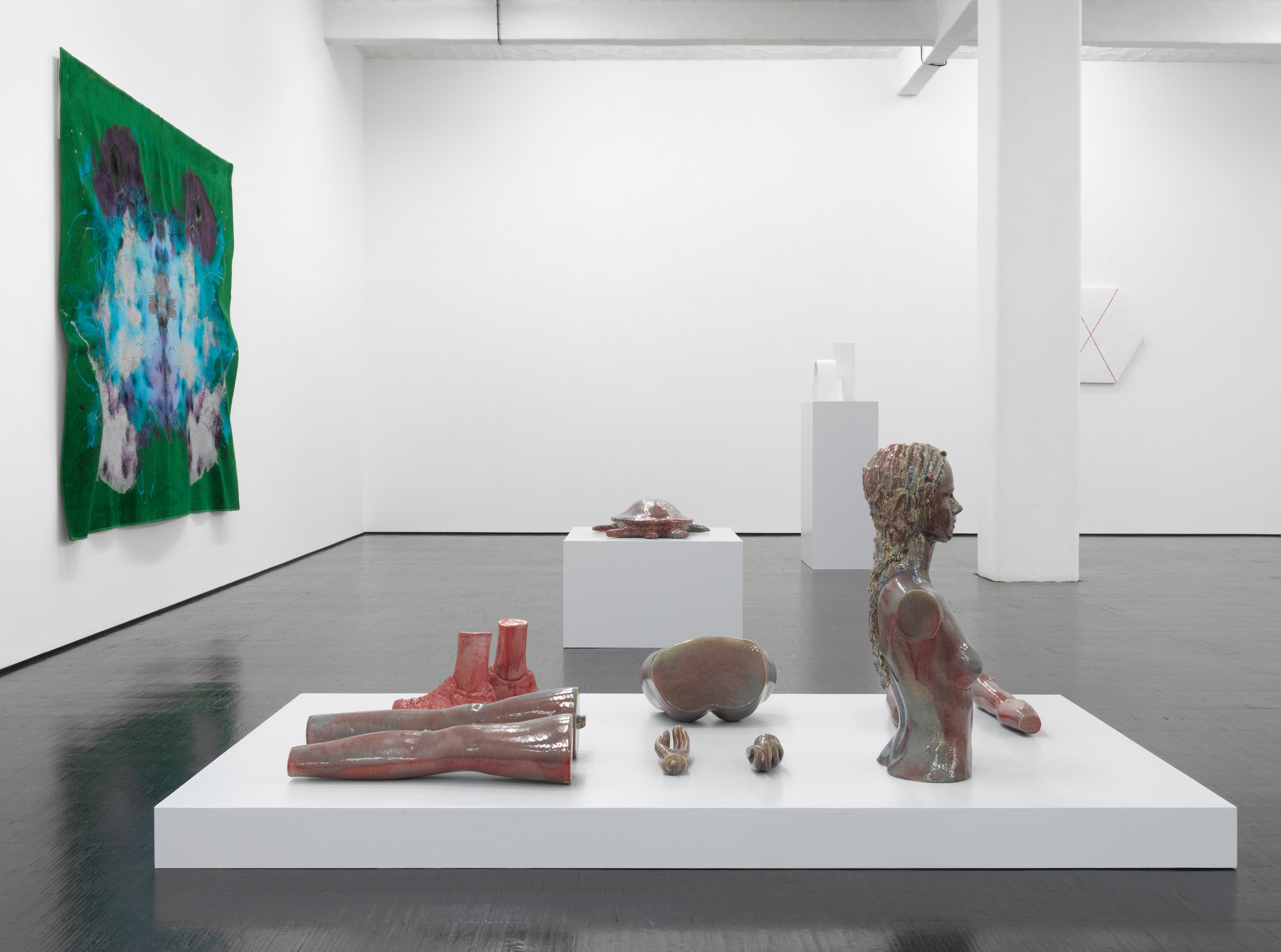 Mai-Thu Perret, Agua Viva at Trautwein Herleth, photo 2