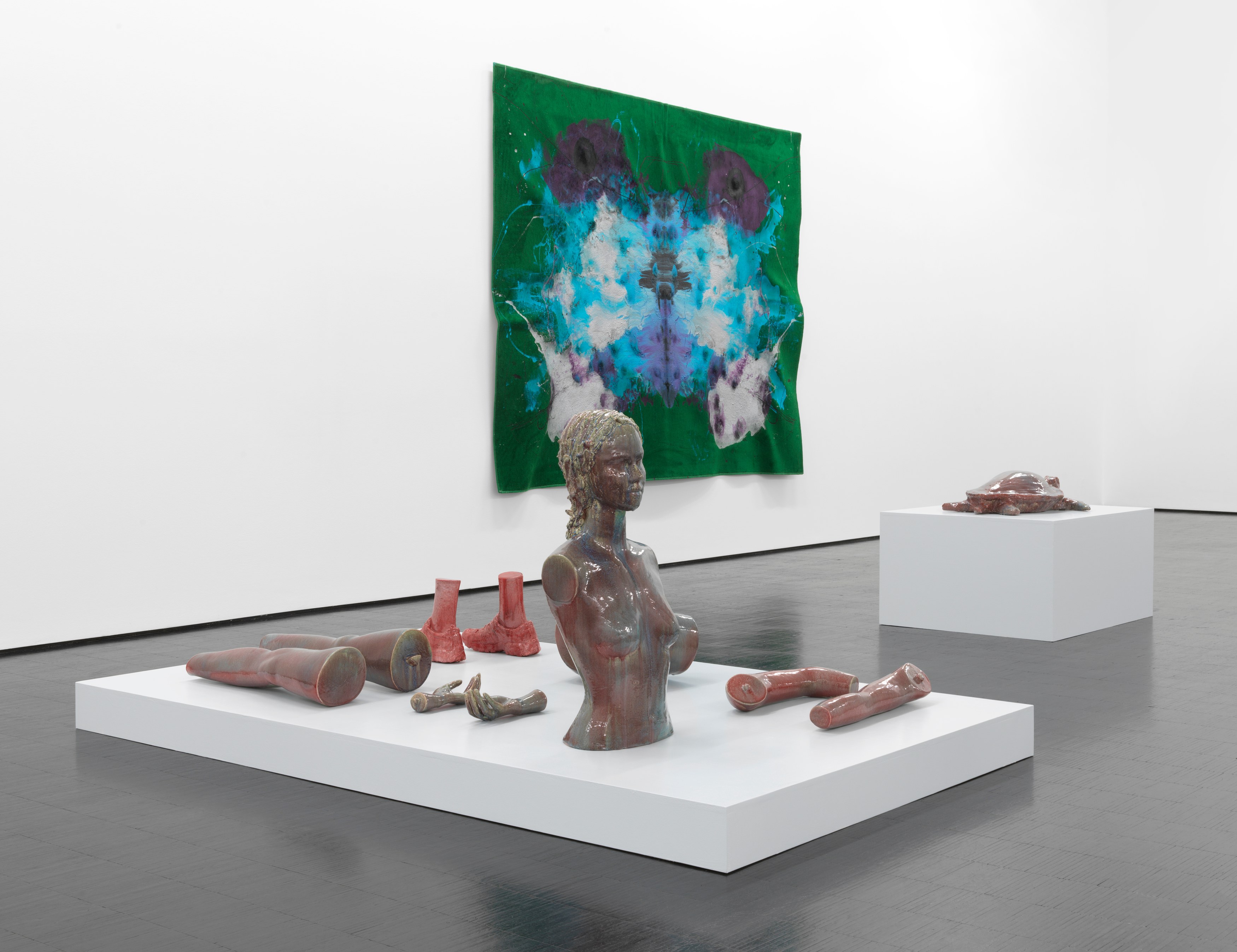 Mai-Thu Perret, Agua Viva at Trautwein Herleth, photo 3