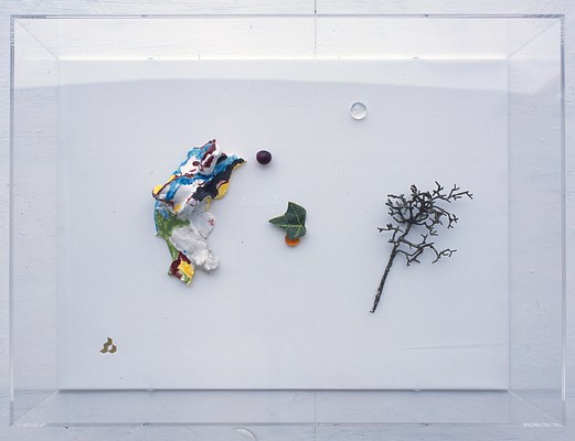 Image 7 of 9