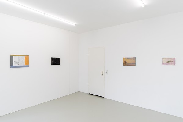 Image 6 of 16