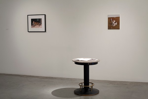 Image 7 of 38