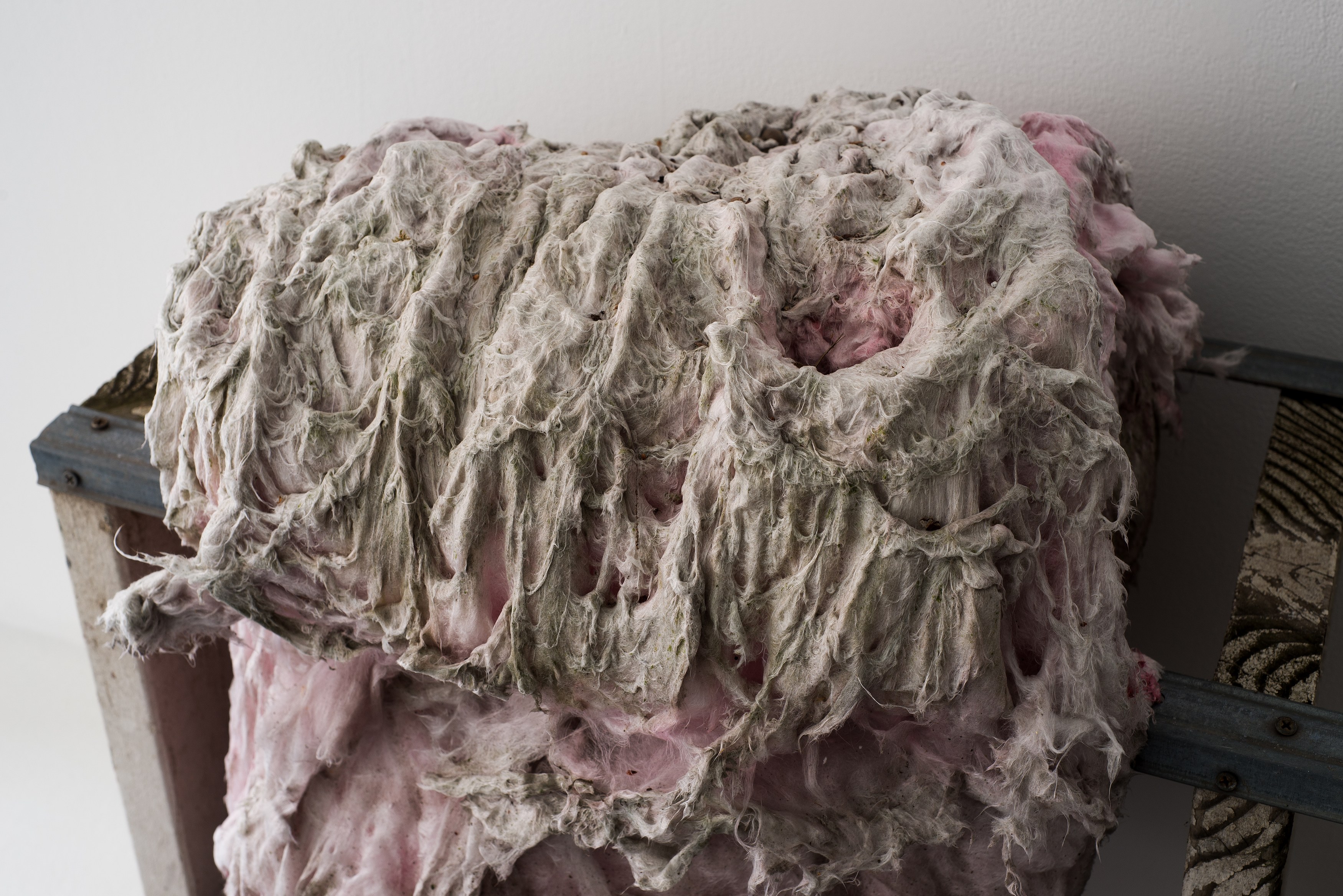 Ser Serpas, Against Attachment at Goethe-Institut New York, photo 4