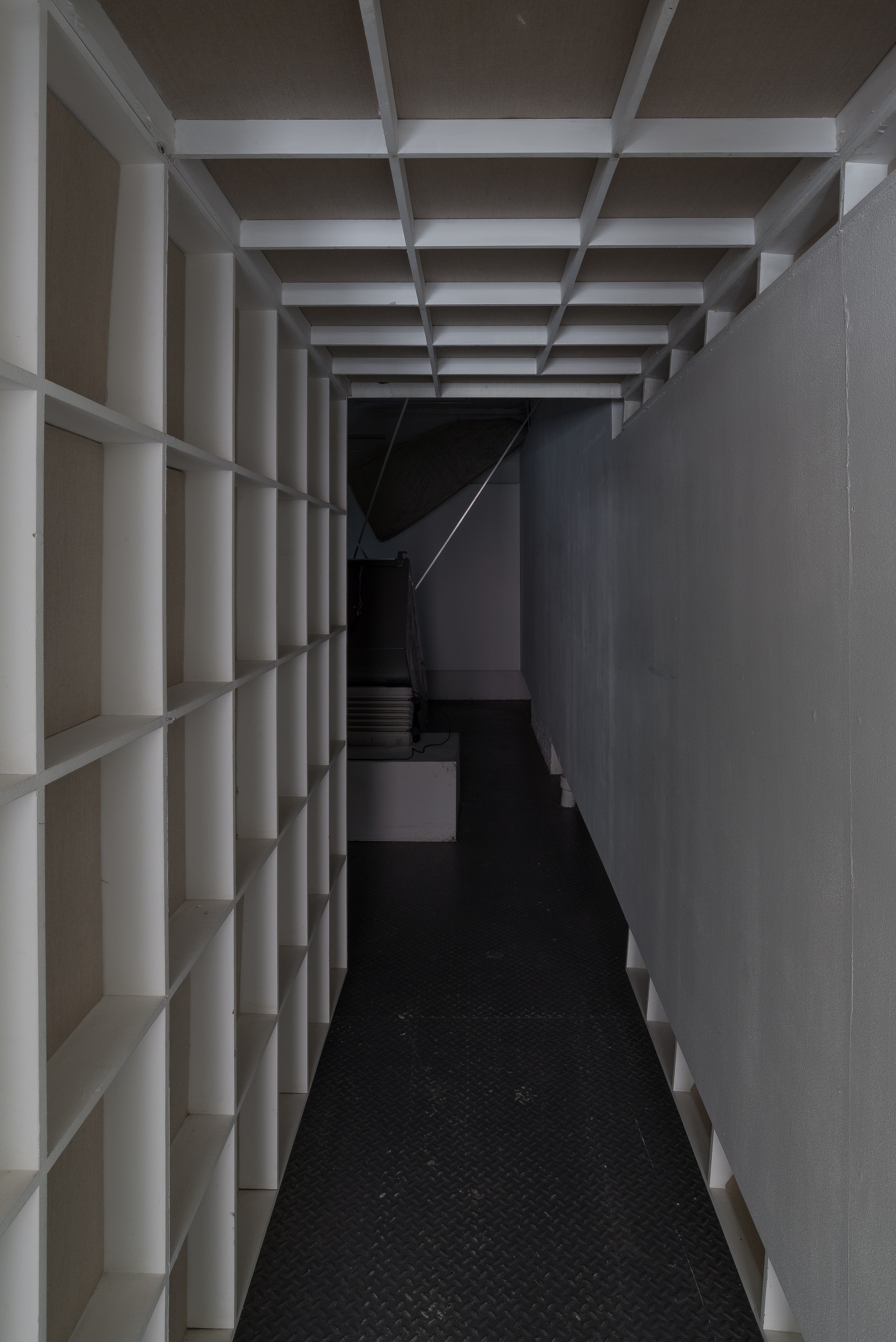 Ser Serpas, Against Attachment at Goethe-Institut New York, photo 6
