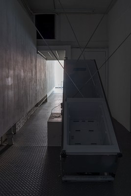 Image 12 of 13