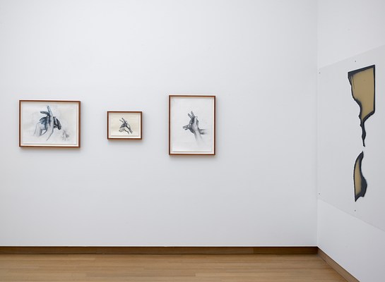 Image 9 of 25