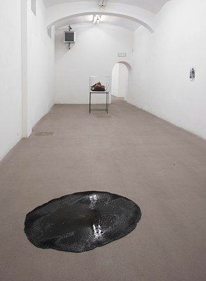 Image 2 of 14