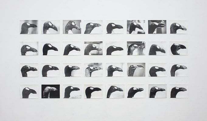 Image 8 of 14
