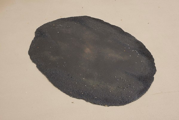 Image 13 of 14