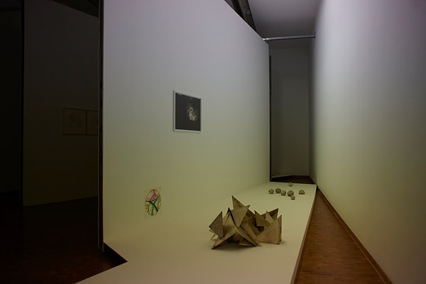 Image 10 of 26