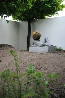 Image 14 of 26