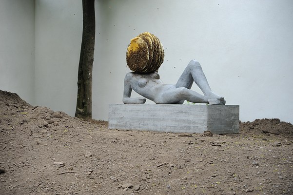 Image 15 of 26