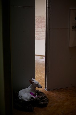 Image 17 of 26