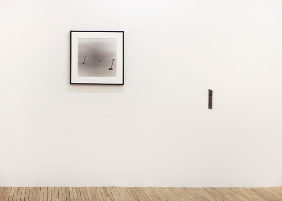 Image 5 of 16