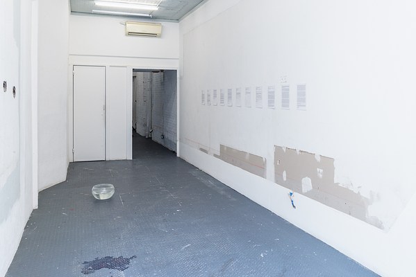 Image 5 of 19