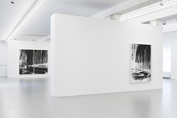 Image 1 of 17