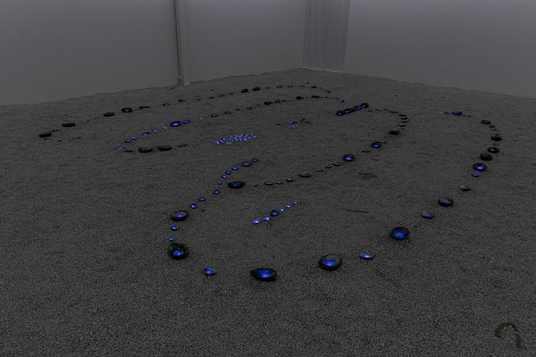 Image 7 of 20