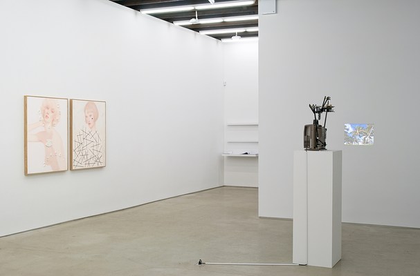 Image 8 of 21