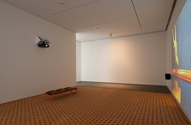 Image 9 of 14