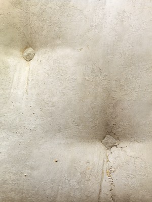 Image 24 of 26