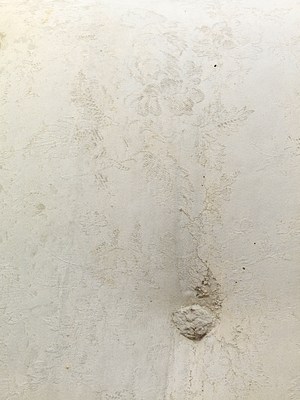 Image 25 of 26