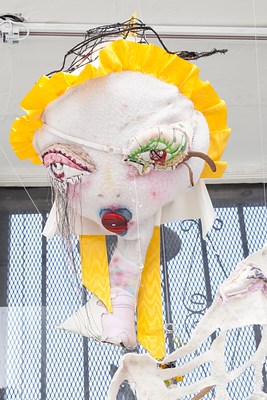 Image 20 of 38