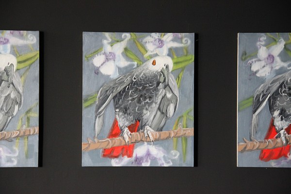Image 14 of 21