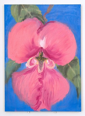 Image 16 of 21