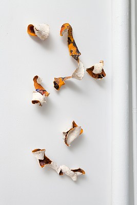 Image 10 of 18