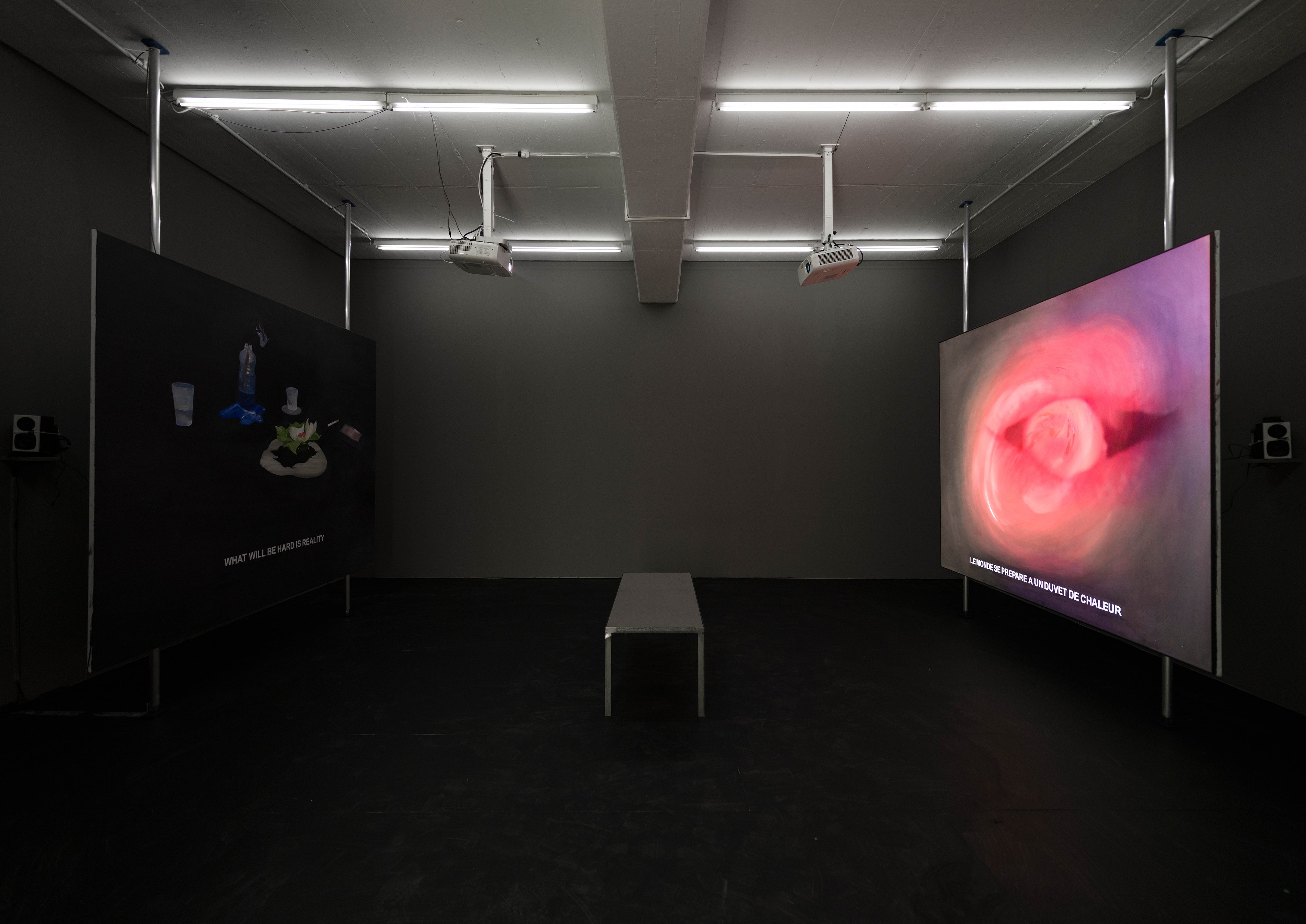 Laure Prouvost, In Reflection We Rest at Carlier Gebauer, photo 8