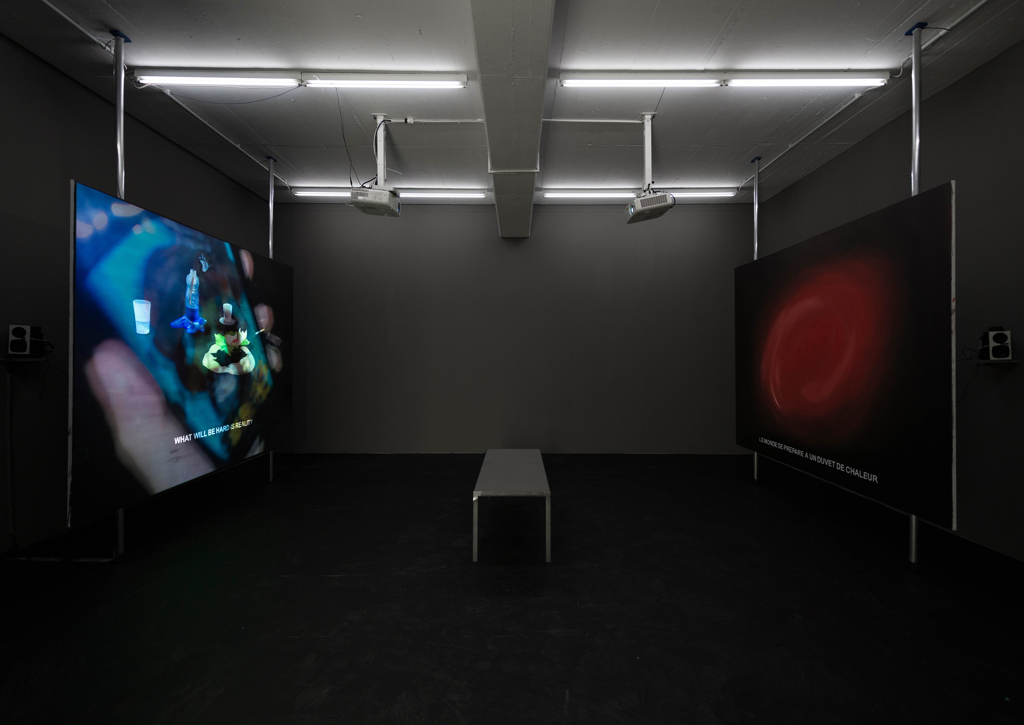 Laure Prouvost, In Reflection We Rest at Carlier Gebauer, photo 9