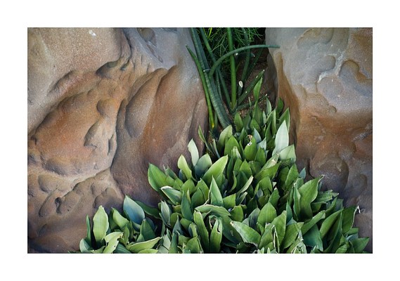 Image 16 of 21
