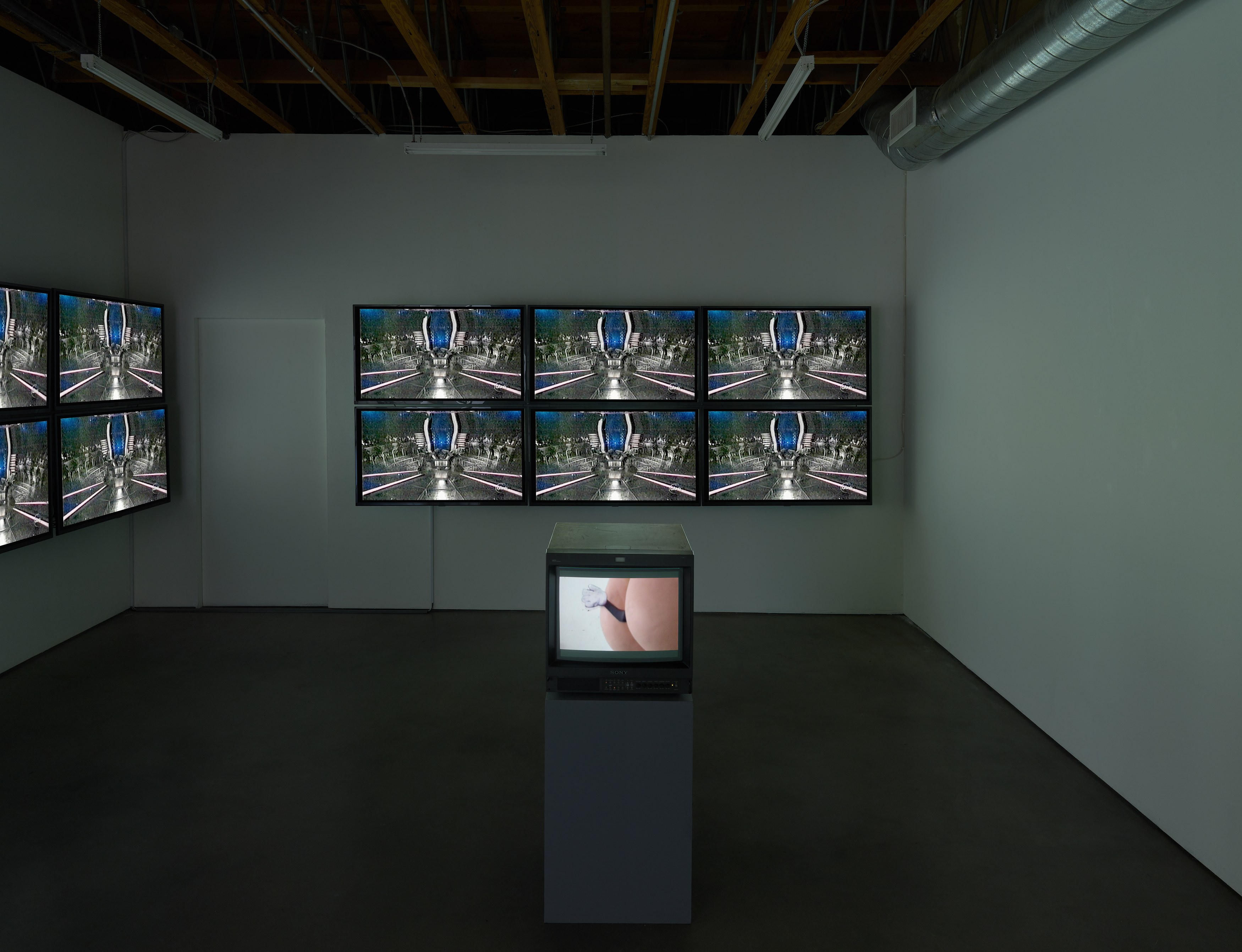 Sturtevant, STURTEVANT: MEMES at Freedman Fitzpatrick, photo 2