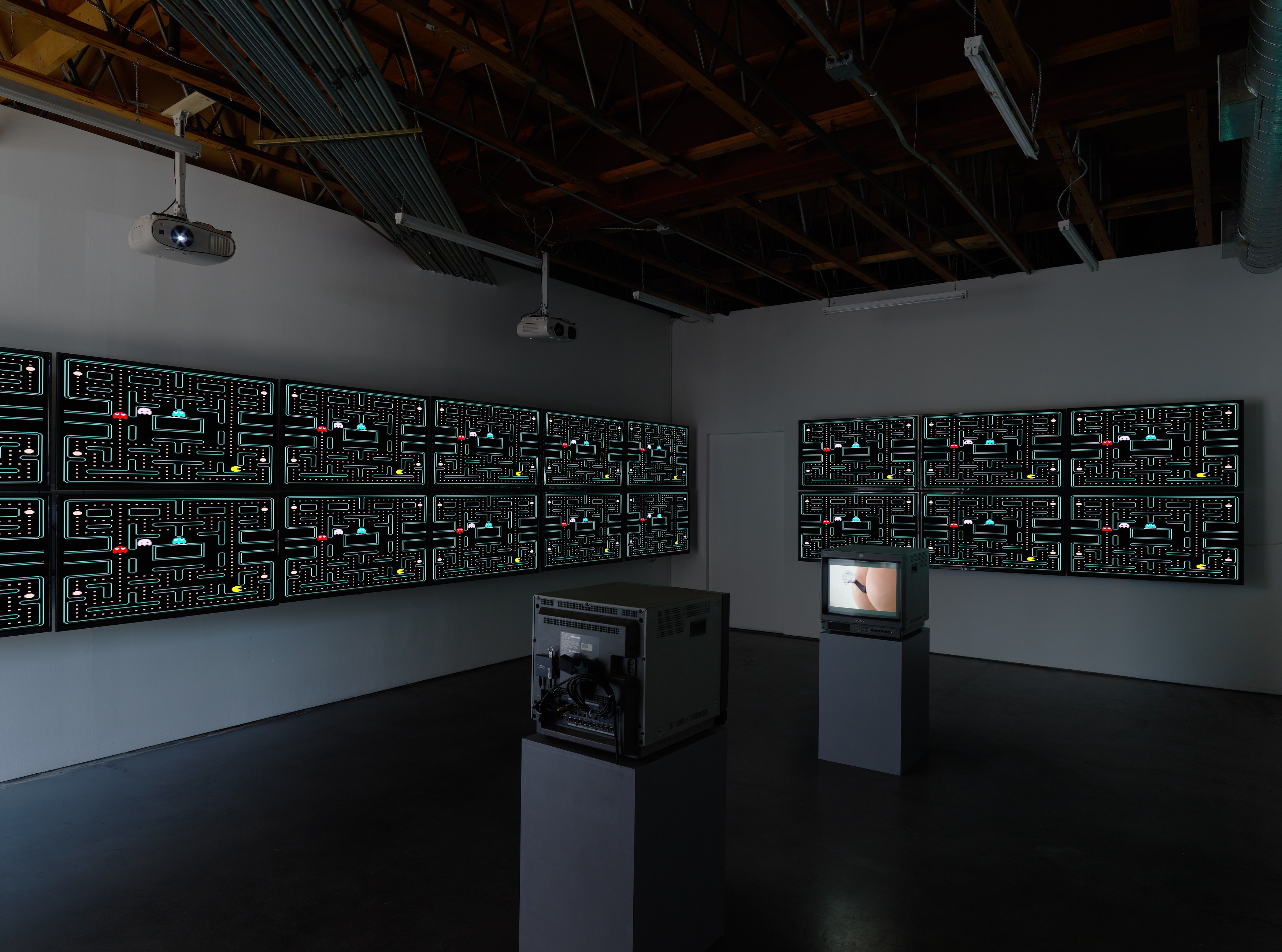 Sturtevant, STURTEVANT: MEMES at Freedman Fitzpatrick, photo 3