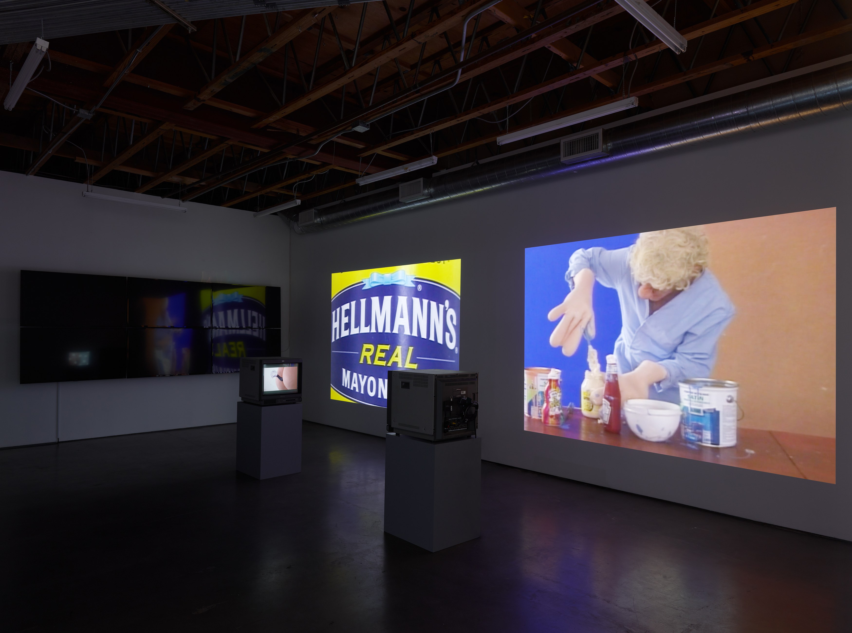 Sturtevant, STURTEVANT: MEMES at Freedman Fitzpatrick, photo 4