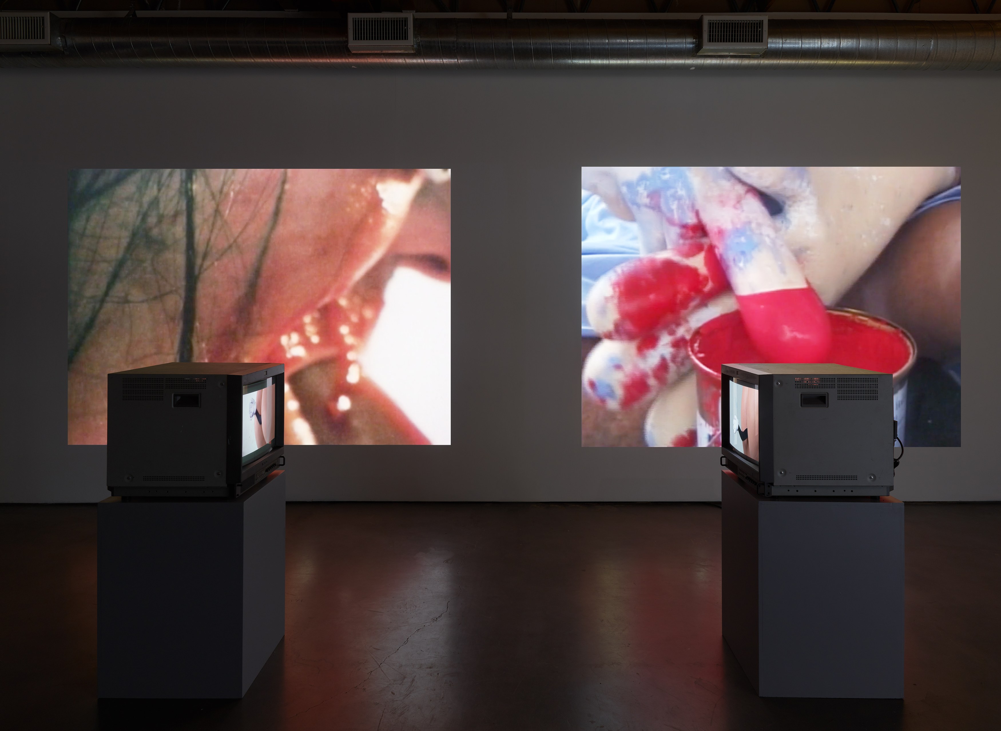 Sturtevant, STURTEVANT: MEMES at Freedman Fitzpatrick, photo 5