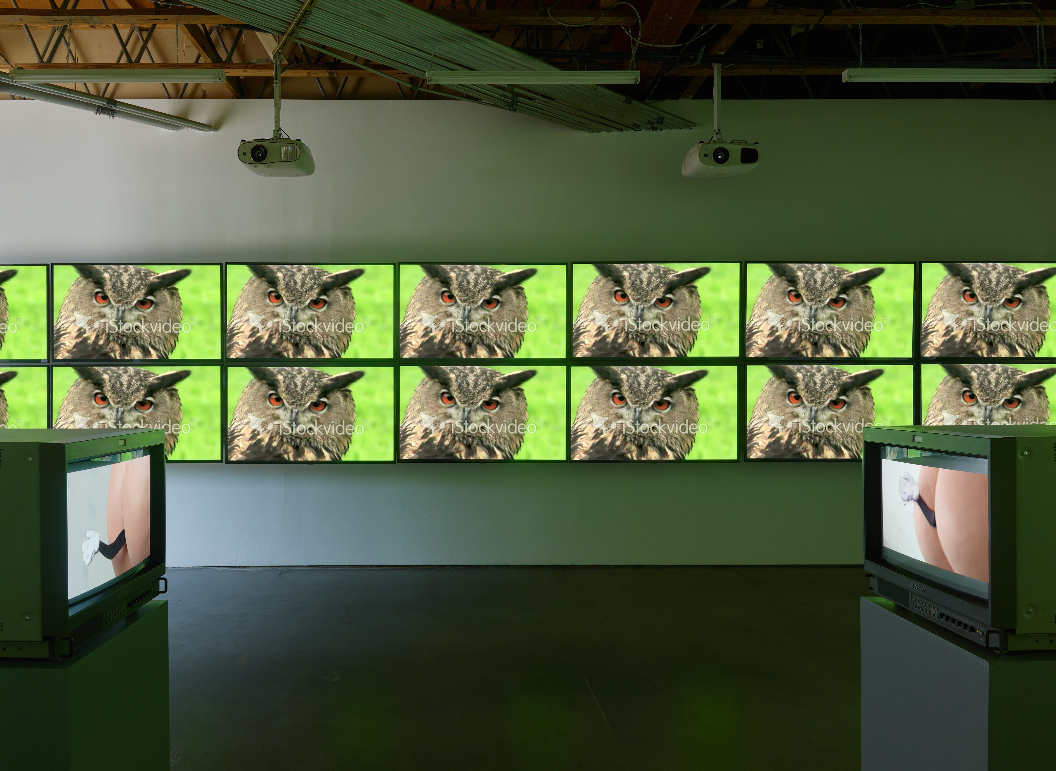 Sturtevant, STURTEVANT: MEMES at Freedman Fitzpatrick, photo 6