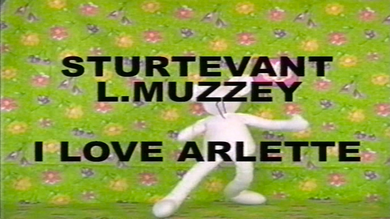 Sturtevant, STURTEVANT: MEMES at Freedman Fitzpatrick, photo 9