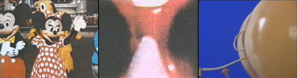 Sturtevant, STURTEVANT: MEMES at Freedman Fitzpatrick, photo 19